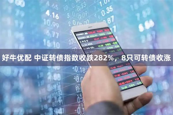 好牛优配 中证转债指数收跌282%，8只可转债收涨