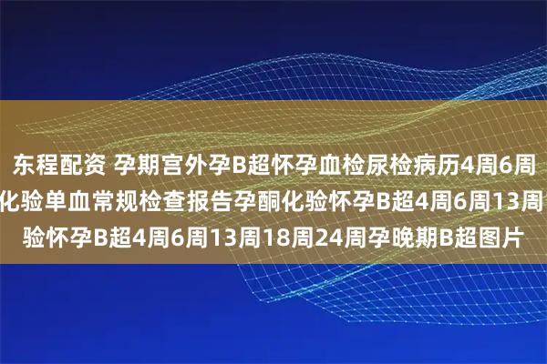 东程配资 孕期宫外孕B超怀孕血检尿检病历4周6周怀孕B超怀孕血检HCG化验单血常规检查报告孕酮化验怀孕B超4周6周13周18周24周孕晚期B超图片
