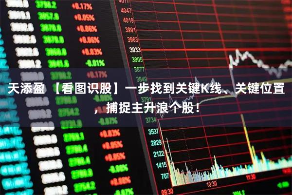 天添盈 【看图识股】一步找到关键K线、关键位置，捕捉主升浪个股！